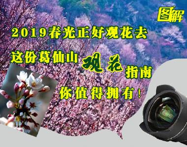 春光正好观花去！葛仙山观花指南请收好