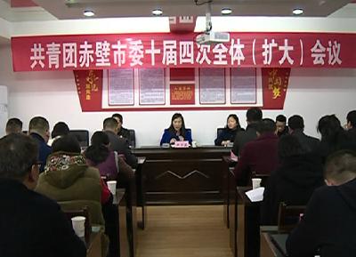 团市委召开十届四次全会