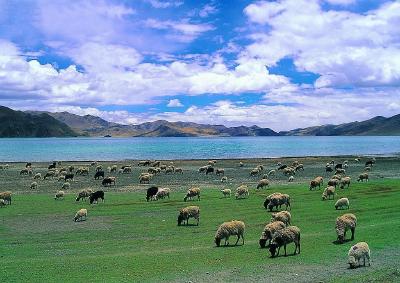 谱写新时代中国梦的雪域篇章——以习近平同志为核心的党中央治边稳藏富民新实践