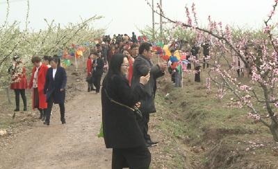 火爆！万人聚集桃花园 引得赏花经济全线飘红