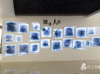 10张图，发人深省