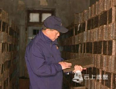 甘多平：潜心钻研制茶技艺 匠心营造源自坚守