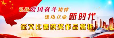 征文比赛获奖作品赏析