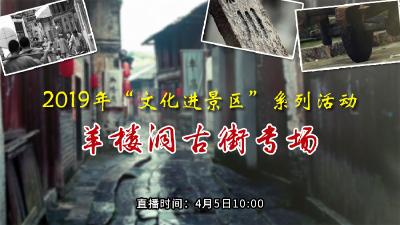 “文化进景区”活动走进羊楼洞古街