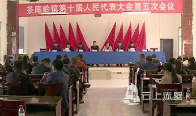 茶庵岭镇召开第十届人民代表大会第五次会议