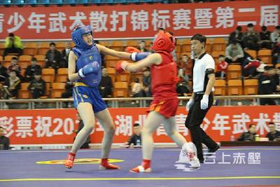 少年强则国强 省青少年武术散打锦标赛在赤顺利举行