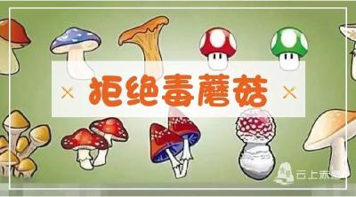 这件事说了很多遍，勿采食野生蘑菇！危险，危险...