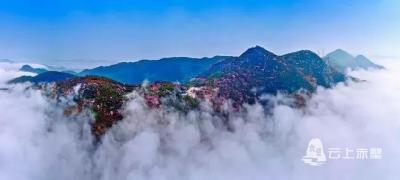 地域诗人联展：赤壁诗人二十家