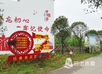 赤壁镇“十进十建”助力乡村振兴
