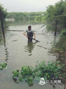 陆水湖办事处绷紧防汛弦