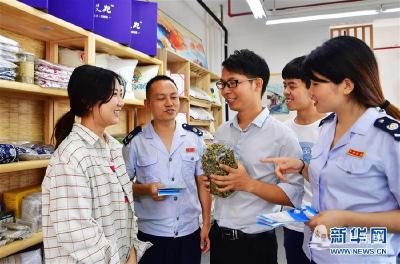 “创”响中国——2019年全国双创活动周热点观察