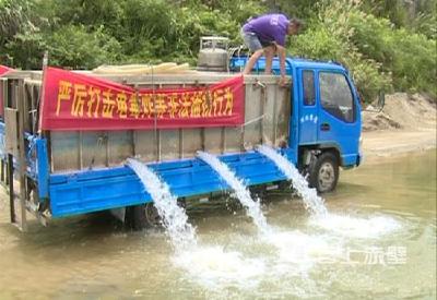 2505万尾！赤壁投放鱼苗 改善水域生态