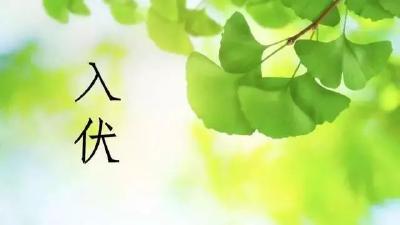 提示｜周五入伏，快快pick这份度伏指南！