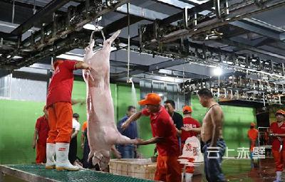 赤壁：全面落实生猪屠宰全链条监管 确保市民吃上安全放心肉