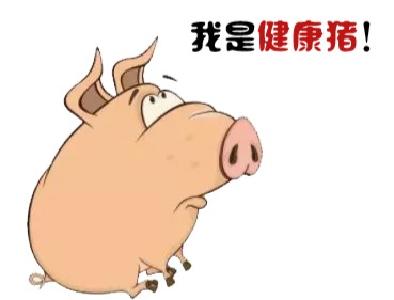 云上小编实地探访猪肉如何走上赤壁市民餐桌 