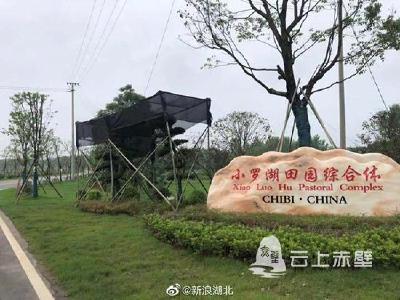 多功能“控制”大棚作业 咸宁车埠镇现代农业模式引领乡村产业振兴