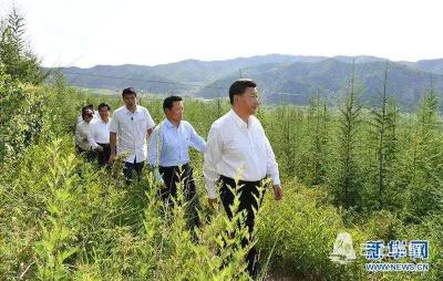 习近平叮嘱这件事：决不能有停一停歇一歇的想法