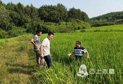 赤壁：全力以赴解民忧
