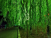 赤壁｜“一河两岸”靓丽夜景惹人醉！