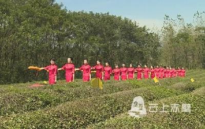 百余人齐聚羊楼洞茶场 用歌声献礼新中国70华诞