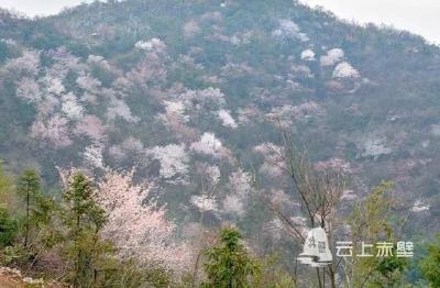 美文 l 水调歌头·葛仙山