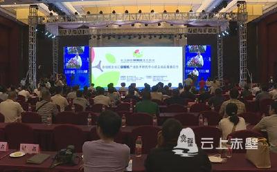 2019长江猕猴桃产业峰会暨长江国际猕猴桃技术论坛在赤壁市成功举行
