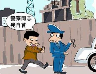 “云剑”行动再添战果 公安部A级通辑逃犯投案自首