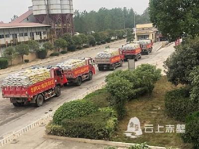 赤壁华新新品水泥投放市场