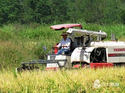向农业现代化迈进 ——亲历者说赤壁70年农业变化
