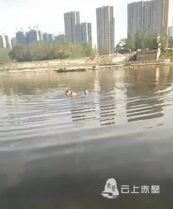 赤壁民警勇救落水老人