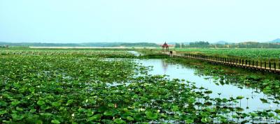 美图 | 沧湖生态旅游区