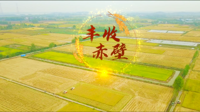 V视 | 喜看良田千层浪 赤壁人民庆丰收