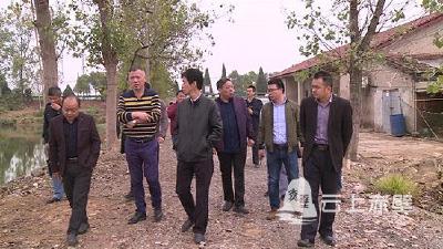 咸宁市考核组验收神山董塘池问题整改工作