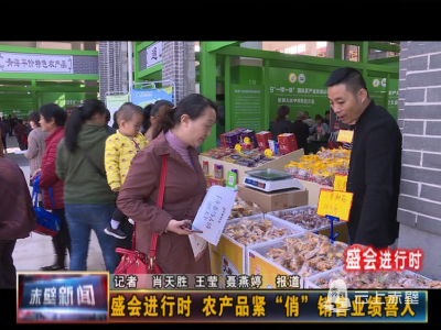 【盛会进行时】农产品紧“俏” 销售业绩喜人