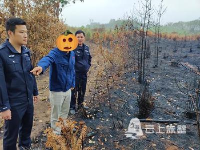 乱扔烟头引发山火 赤壁一男子拘留五天