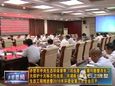 赤壁市中央生态环保督察“回头看”反馈问题整改长江大保护十大标志性战役、河湖库长制工作、“五个三”生态工程推进暨2019年环委会第三次全会召开