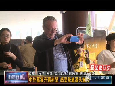 【盛会进行时】中外嘉宾齐聚赤壁 感受茶道源头魅力
