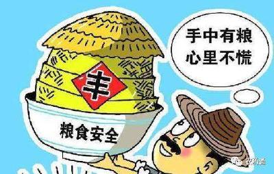 粮库实吗、质量好吗、进口多吗——中国的粮食安全“三问”