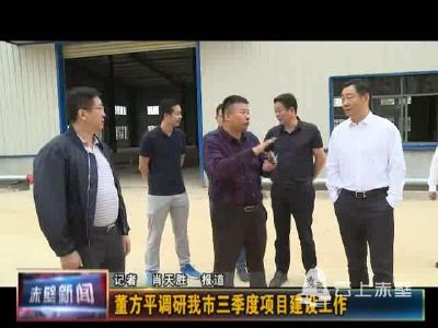 董方平调研三季度项目建设工作