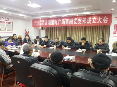 赤壁市首个商圈党支部——西湖国际党支部成立