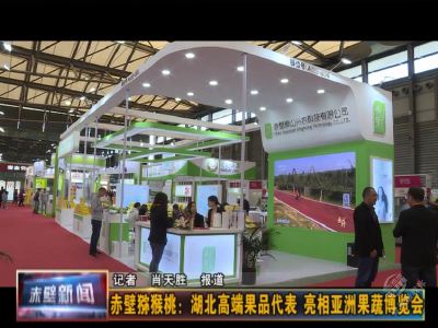 赤壁猕猴桃：湖北高端果品代表 亮相亚洲果蔬博览会