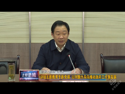 董方平讲授主题教育专题党课 以问题为导向推动政府工作新发展