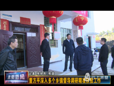 董方平深入多个乡镇督导调研精准扶贫工作