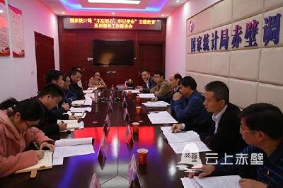国家统计局第三巡回指导组到赤壁队调研指导第二批主题教育工作
