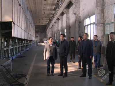 董方平现场调研重点环保问题