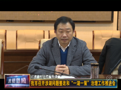 赤壁市召开涉湖问题整改和“一湖一策”治理工作推进会