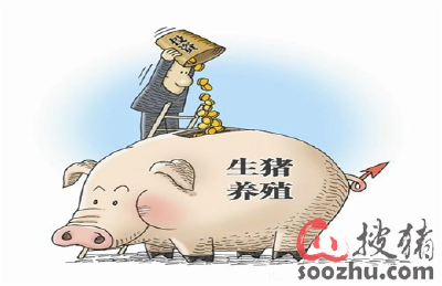 农发行未来3年500亿元支持生猪全产业链发展
