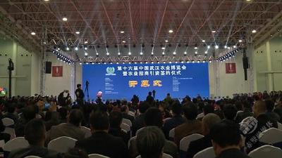 逛武汉农博会 品赤壁青砖茶