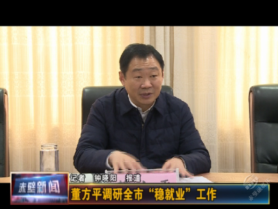 董方平调研全市“稳就业”工作