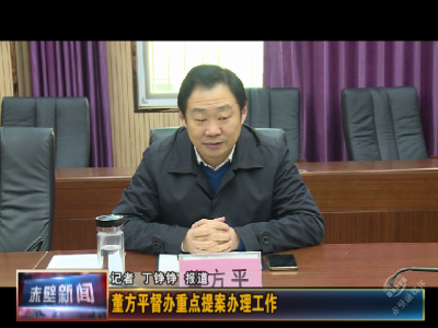 董方平督办重点提案办理工作